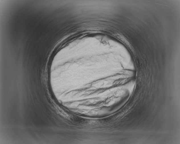 X0000075330787200610061627