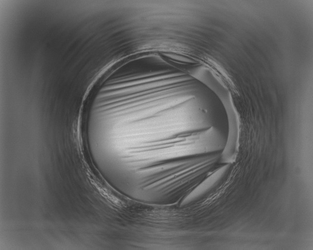 X0000075330788200610061627