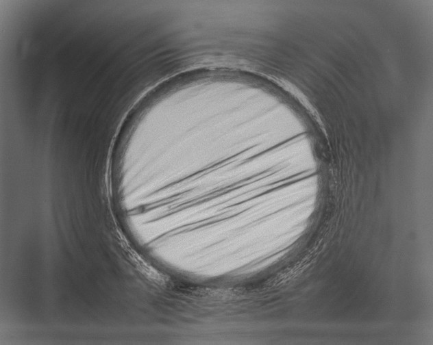 X0000075330791200610061627