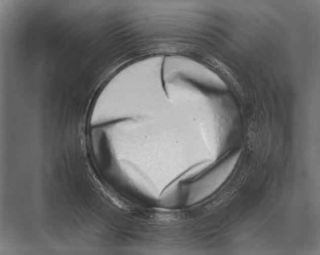 X0000075330794200610061627