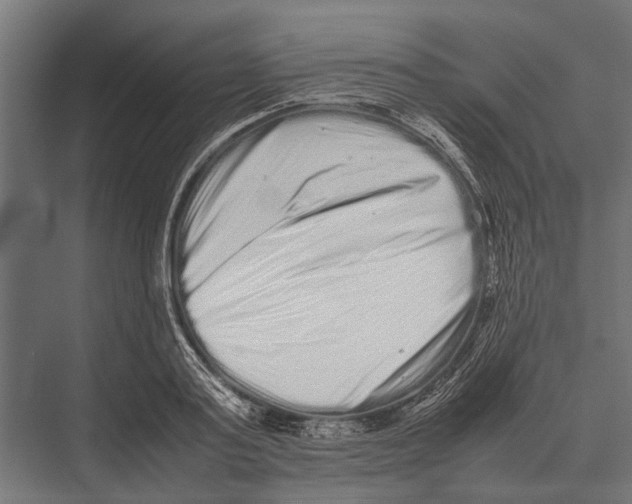 X0000075330795200610061627