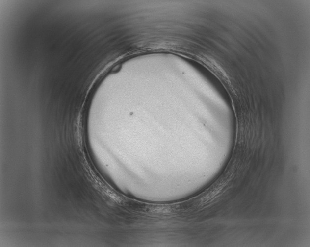 X0000075330798200610061627