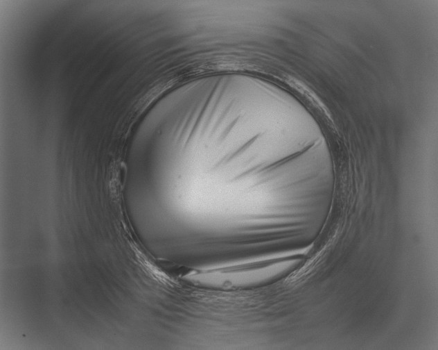 X0000075330801200610061627
