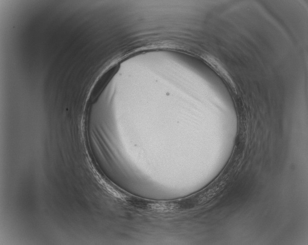 X0000075330805200610061627