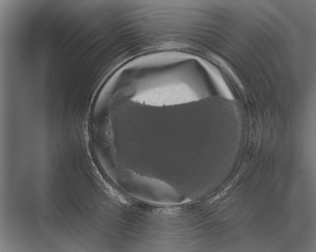 X0000075330810200610061626
