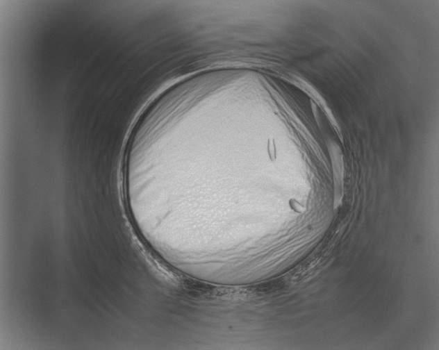 X0000075330811200610061626