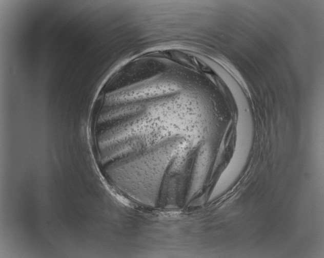 X0000075330813200610061626