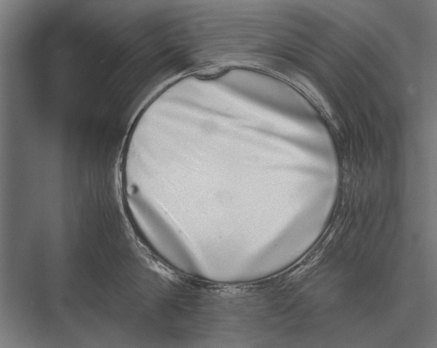 X0000075330814200610061626
