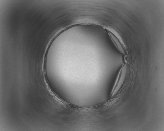 X0000075330815200610061626
