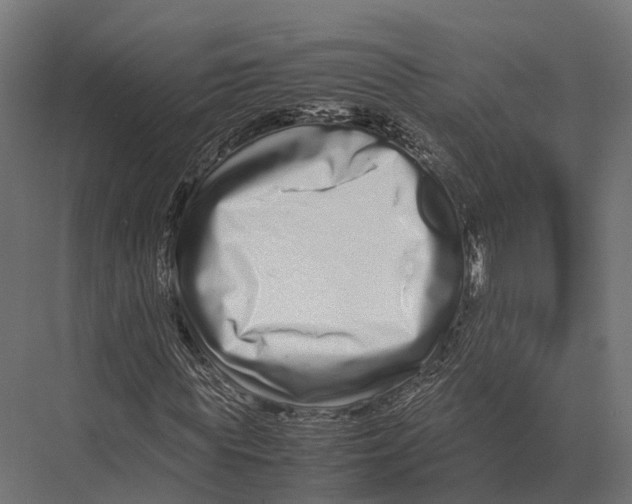 X0000075330819200610061626