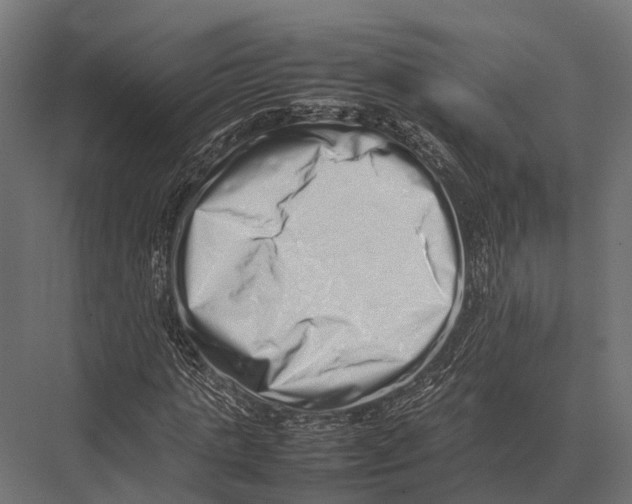 X0000075330821200610061626