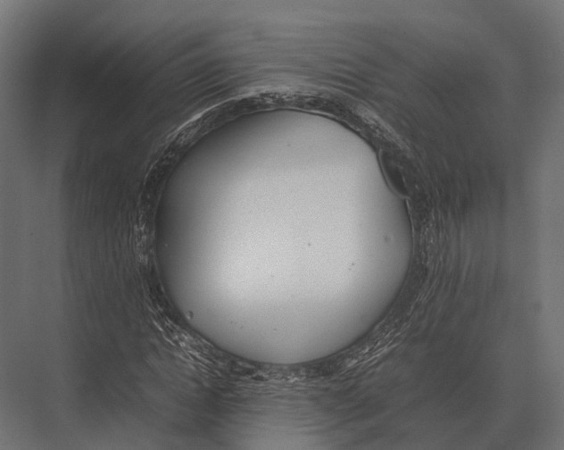 X0000075330822200610061626