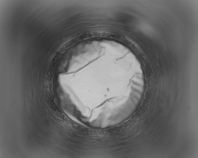 X0000075330823200610061626