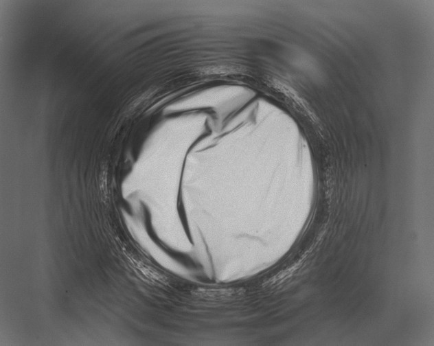 X0000075330825200610061626