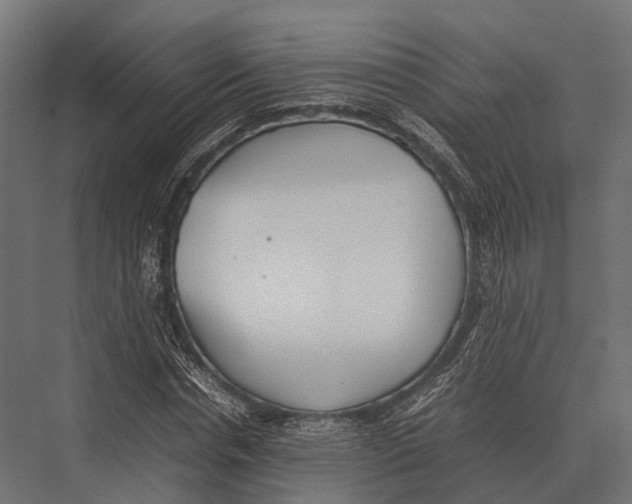 X0000075330826200610061626