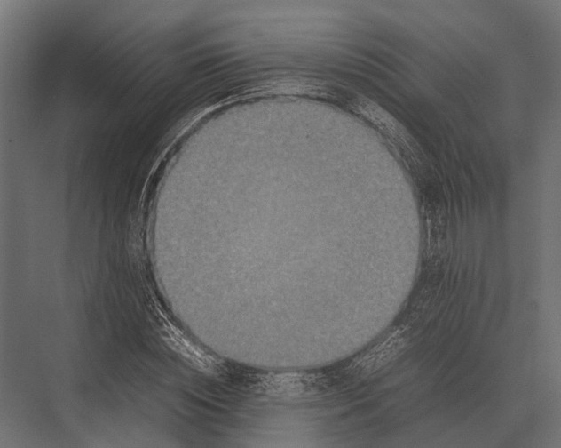 X0000075330828200610061626
