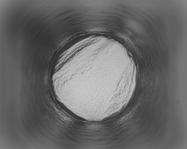 X0000075330833200610061626