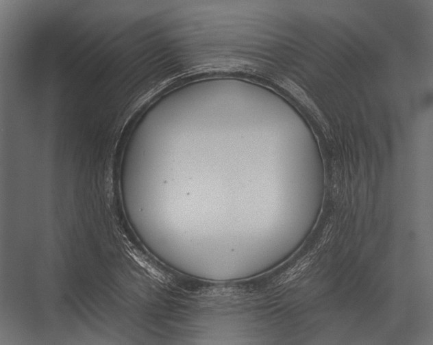 X0000075330834200610061626