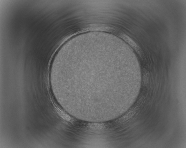 X0000075330836200610061626
