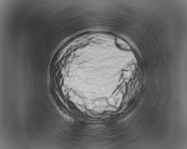 X0000075330837200610061626