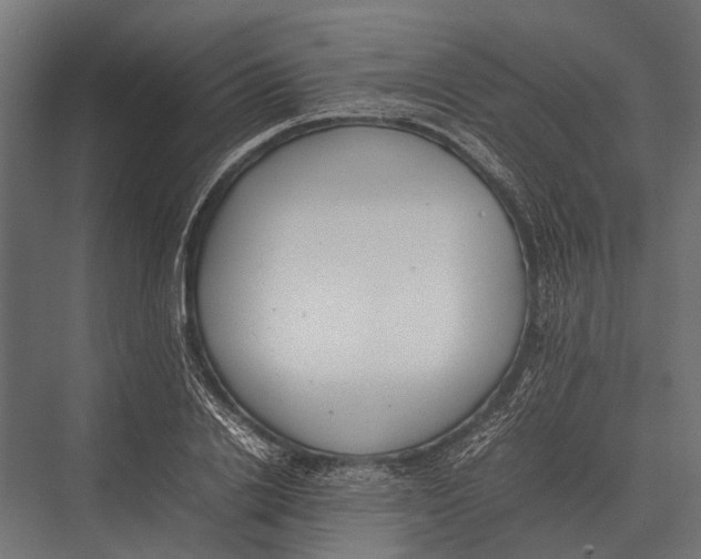 X0000075330838200610061626