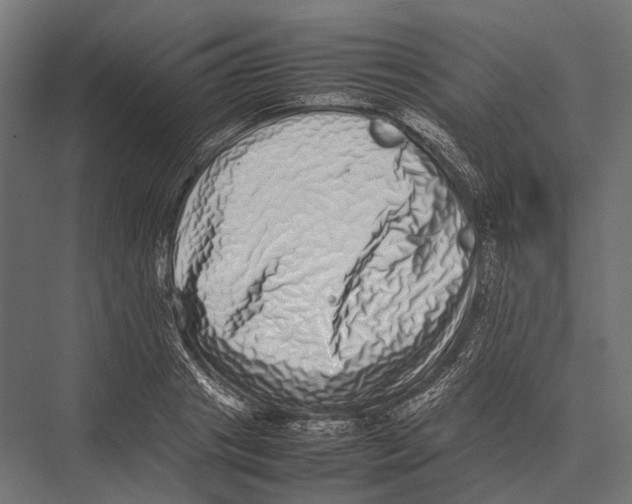 X0000075330841200610061626