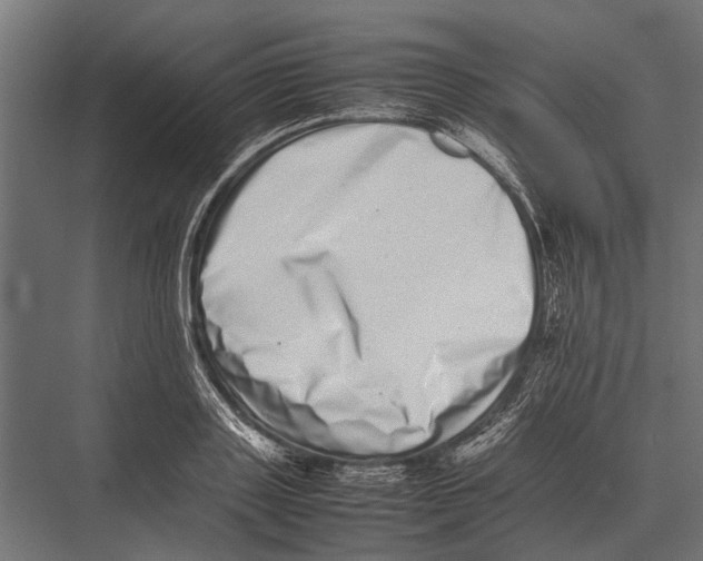 X0000075330843200610061626
