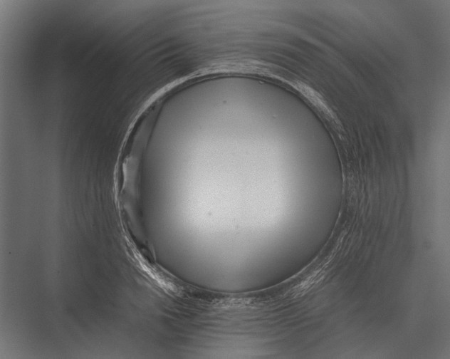 X0000075330846200610061626