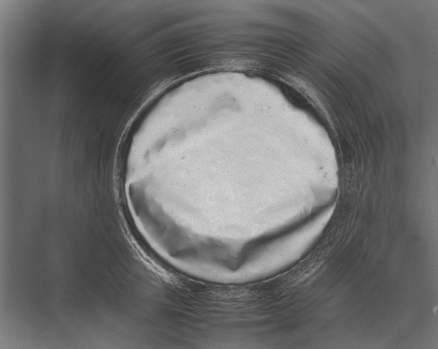 X0000075330851200610061626
