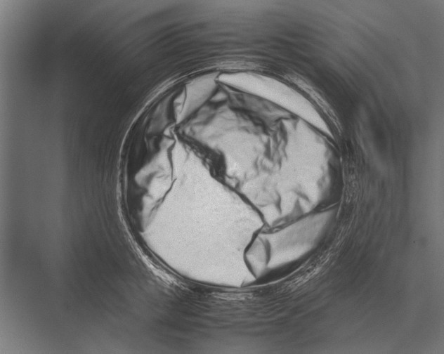 X0000075330853200610061626