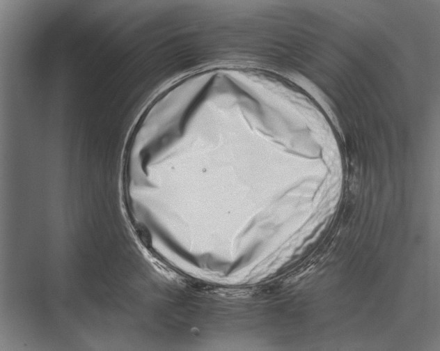 X0000075330861200610061626