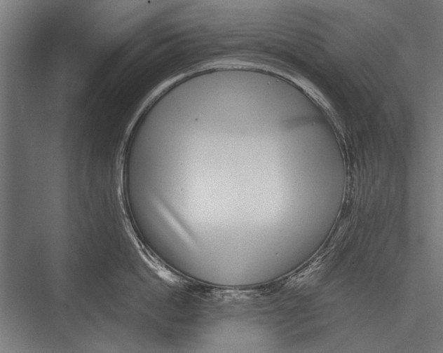 X0000075330862200610061626