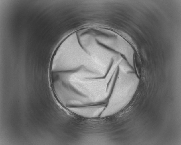 X0000075330863200610061626