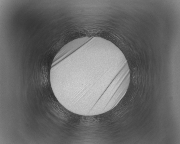 X0000075330866200610061626