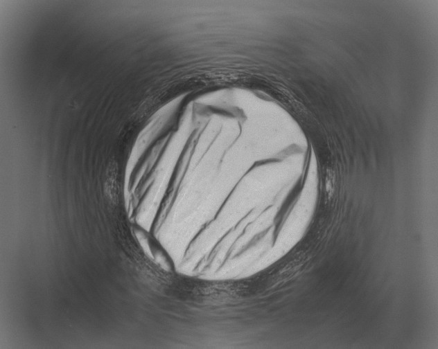 X0000075330867200610061626
