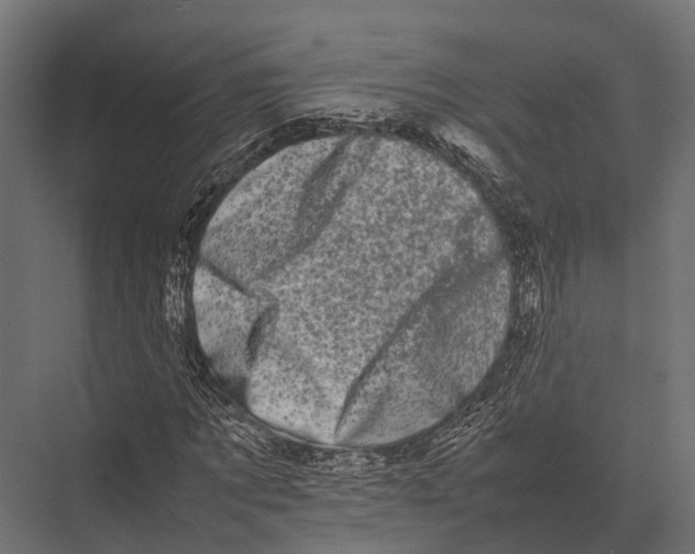 X0000075330869200610061625