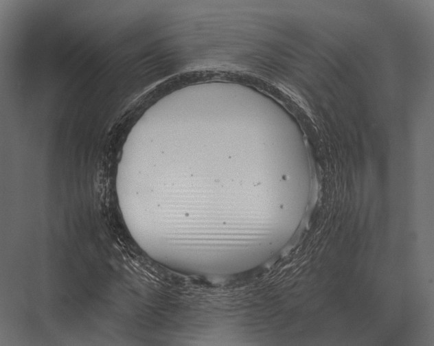 X0000075330872200610061625