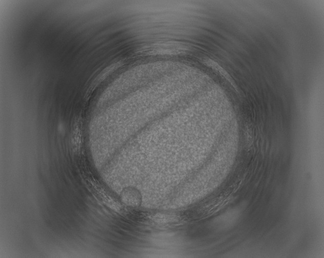 X0000075330874200610061625