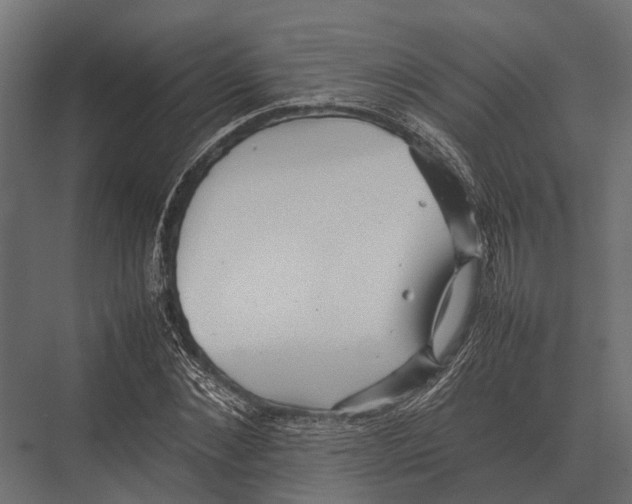 X0000075330876200610061625