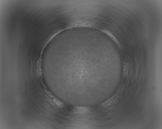X0000075330878200610061625