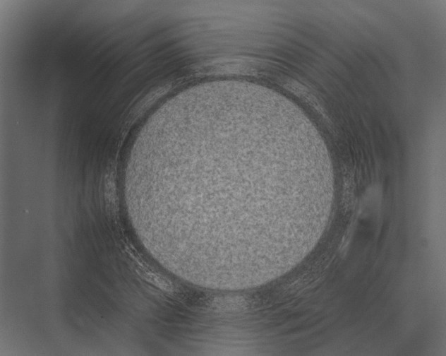 X0000075330882200610061625