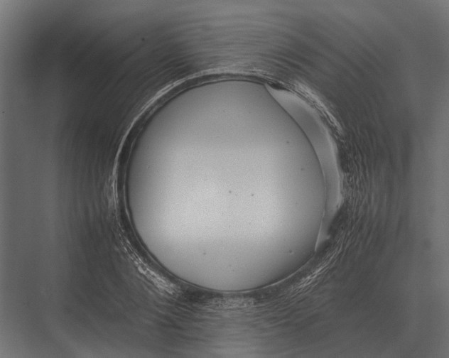 X0000075330884200610061625