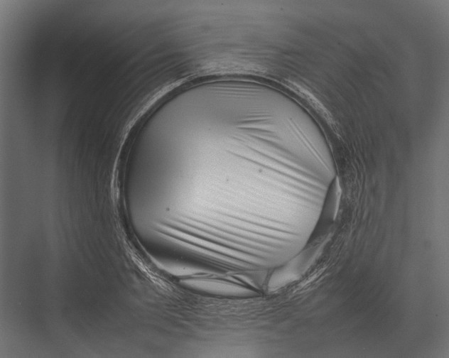 X0000075330885200610061625