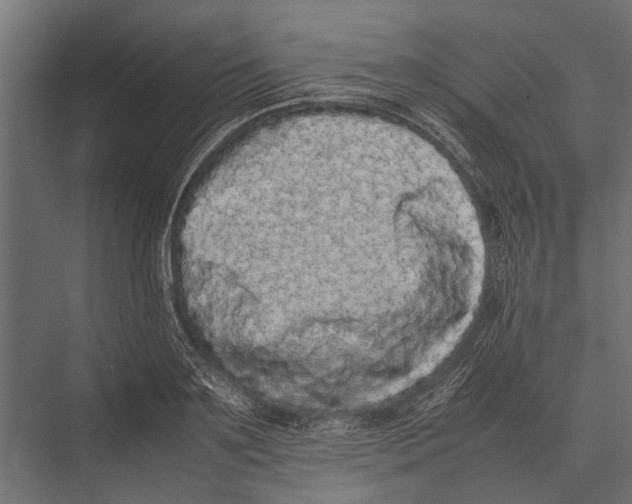 X0000075330891200610061625