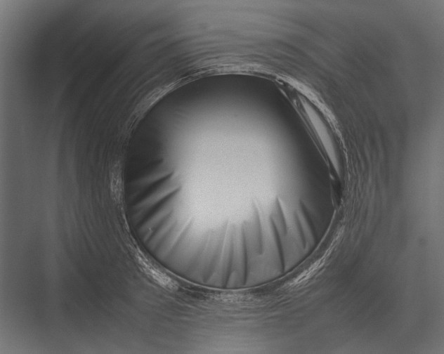 X0000075330897200610061625