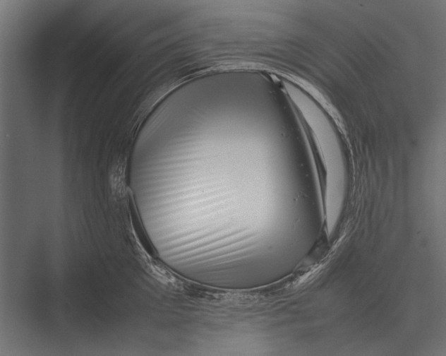 X0000075330905200610061625