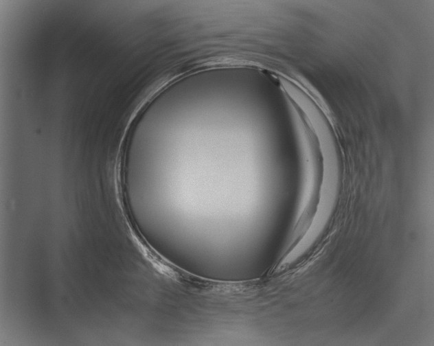 X0000075330909200610061625