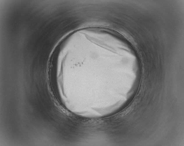 X0000075330912200610061625