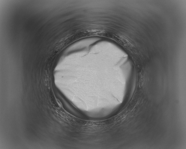 X0000075330917200610061624