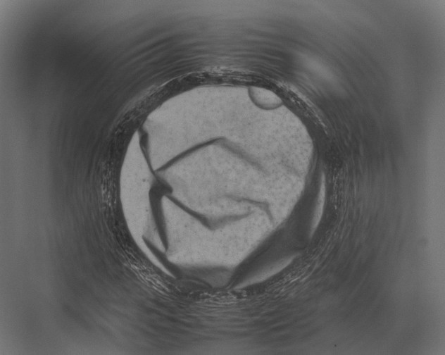 X0000075330919200610061624